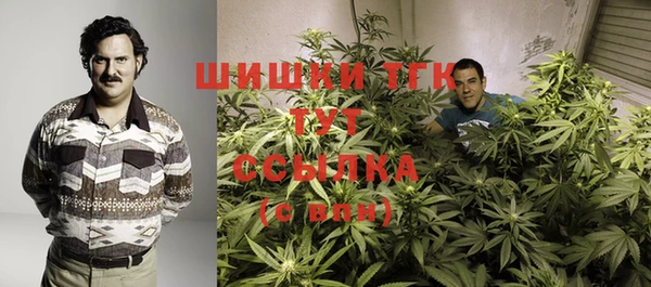 спиды Мегион
