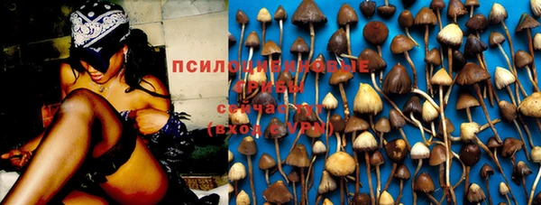 кокаин перу Михайлов