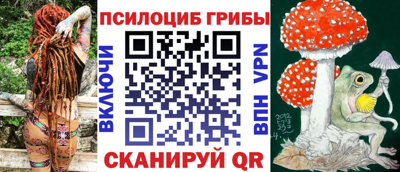 Галлюциногенные грибы Psilocybine cubensis  как найти наркотики  Гдов 