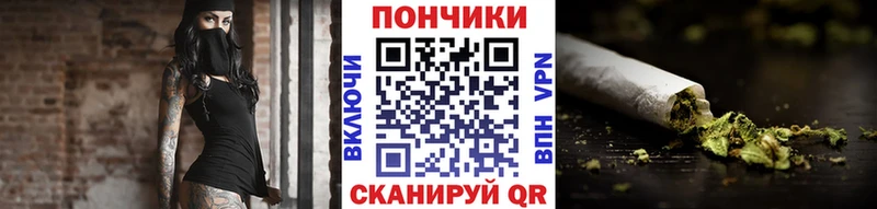 наркошоп  Гдов  Бошки марихуана марихуана 